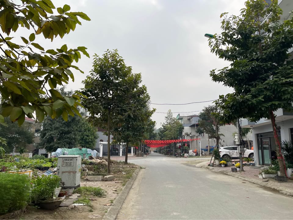 Đất nền KĐT KoSy Lào Cai 100m² - Vị trí đắc địa!