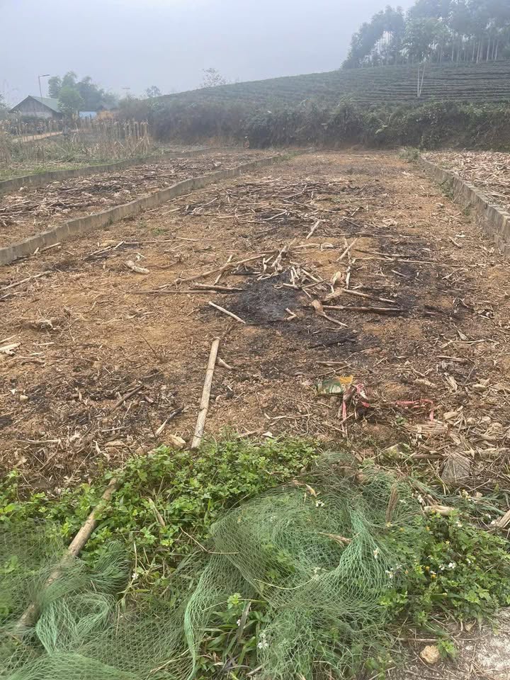 Đất Tân Thịnh Phú Lương 85m² 300 triệu - Đất thổ cư hiếm