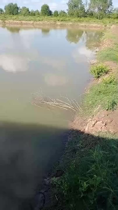 Ao nuôi công nghiệp Lạc Hòa, Vĩnh Châu 1300m² - Giá đầu tư tốt!