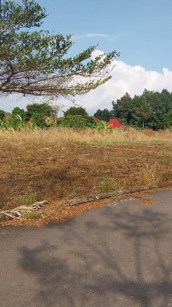 Đất nền Dầu Giây, Đồng Nai 125m² 980 triệu - Sổ đỏ chính chủ!