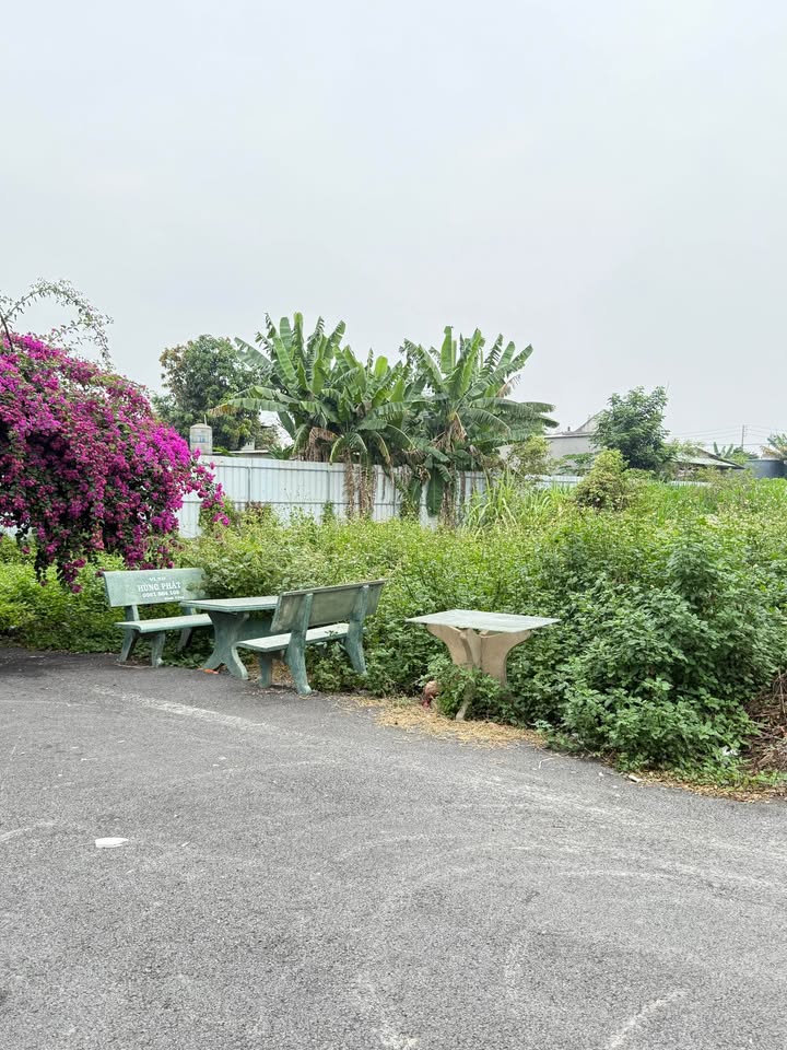 Đất nền Hóc Môn 94m² giá 3.5 tỷ - Xây dựng tự do!