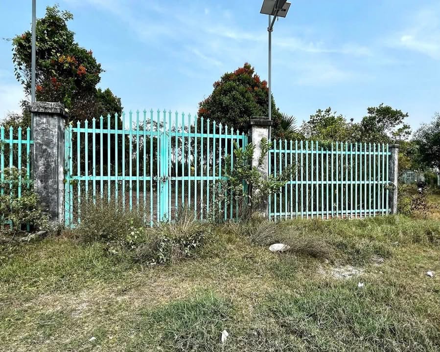 Bán Đất Vườn Long An 6500m² - 5.5 Tỷ, Sổ Hồng Riêng