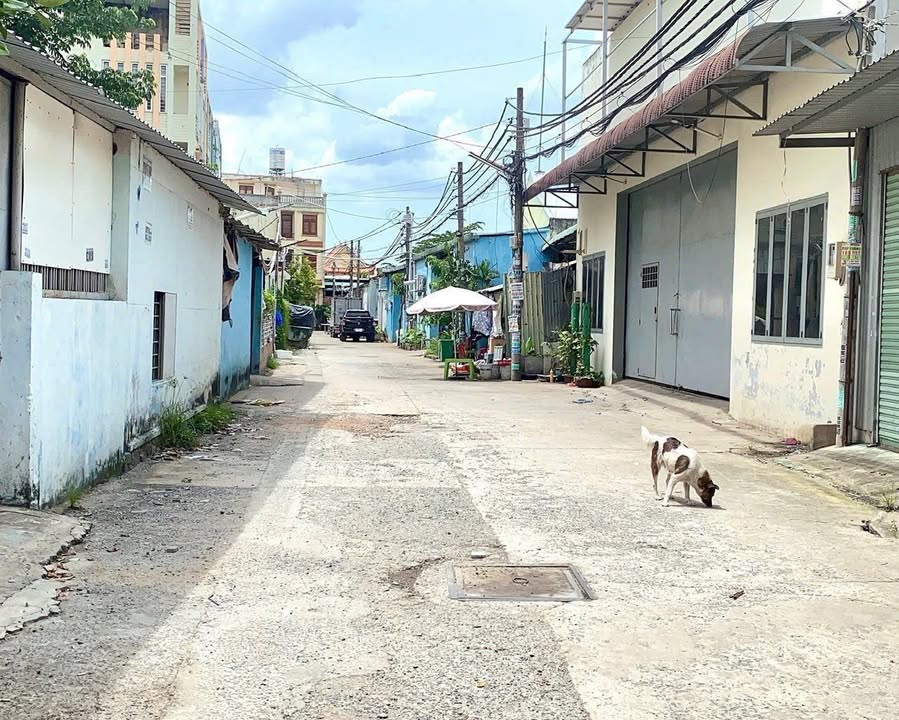 Đất nền Hóc Môn 180m² giá 6.7 tỷ - Sổ đỏ chính chủ