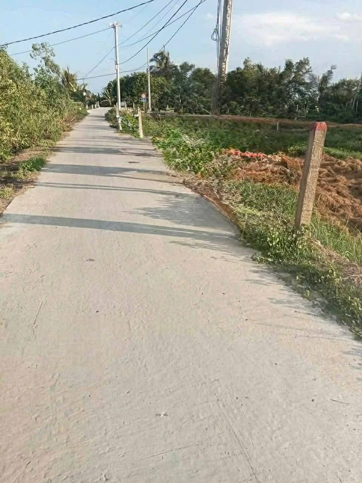 Đất nền Mỹ Phước Tây, Cai Lậy 192m² - Pháp lý rõ ràng