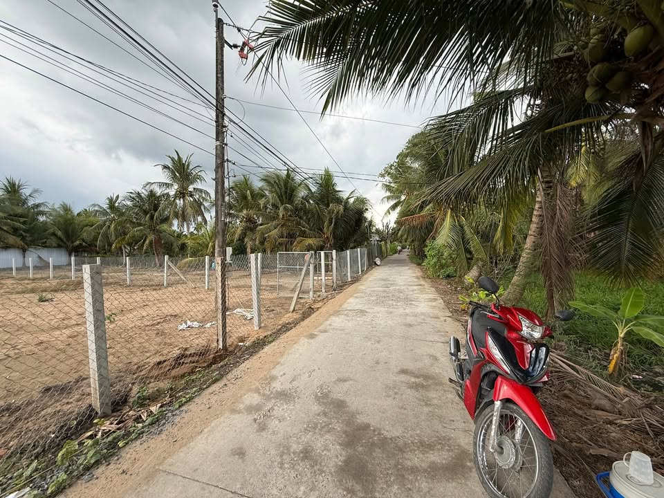 Đất nền Đồng Tháp 235m² view kênh, giá 550 triệu - Sổ hồng sẵn sàng giao dịch