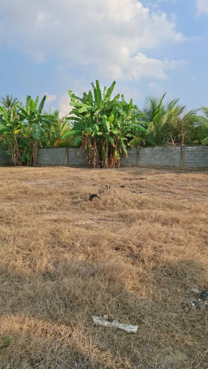 Đất nền Cai Lậy 1200m² 6.8 tỷ - Tiềm năng tăng giá vượt trội!