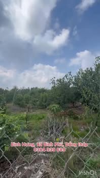 Bán Gấp Đất Vườn Tiền Giang 1600m² - Mặt Tiền Đường Đá Sẵn Sàng Đầu Tư