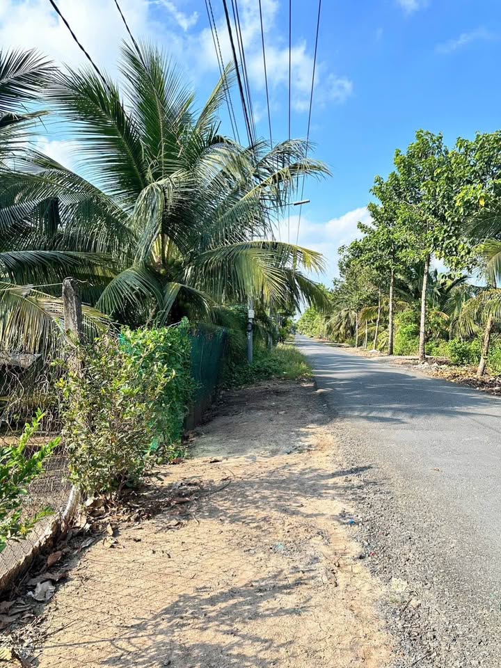 Đất Nền 8000m² Mỹ Tho - Mặt Tiền 80m, Giá Chỉ 6 Tỷ!