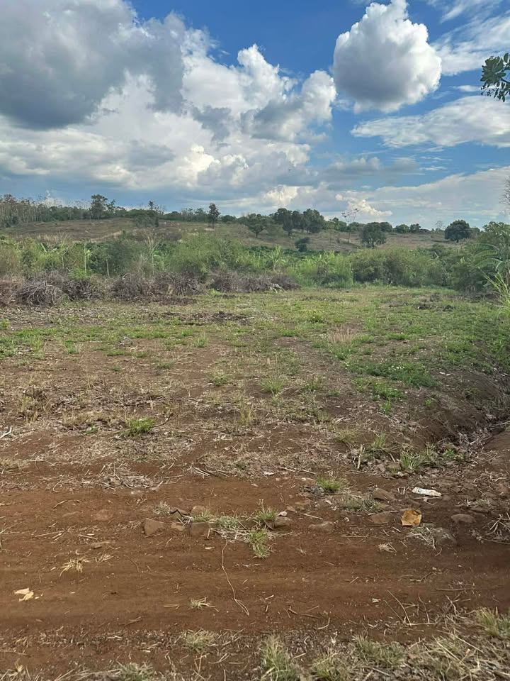 Đất nền Ea M'DRóh, Cư M'gar 2052m² - Sổ đỏ chính chủ!