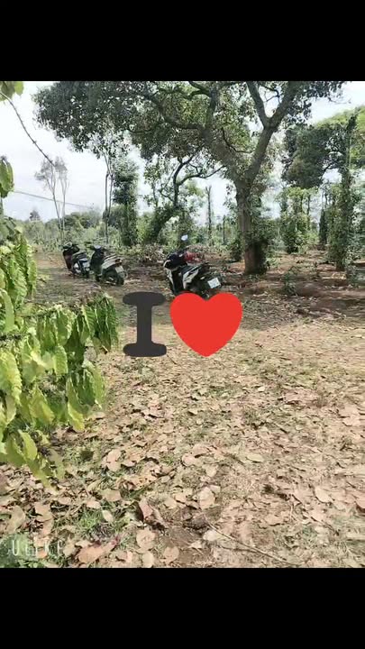 Bán Đất 1692m² Cư Kuin, Đắk Lắk - Sổ Hồng Riêng, Gần Đường Nhựa