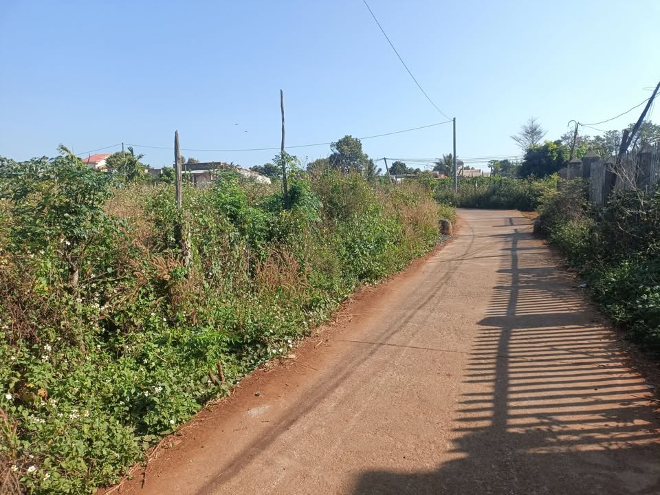 Đất nền Chư Sê, Gia Lai - 572m² sổ đỏ, lô góc 2 mặt đường, giá 699 triệu