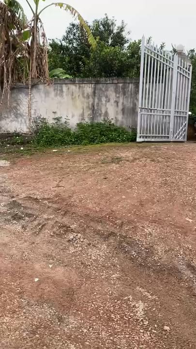 Đất Vườn 2ha Phường Chũ, Bắc Giang - View Hồ Tuyệt Đẹp, Sinh Lời Hấp Dẫn!