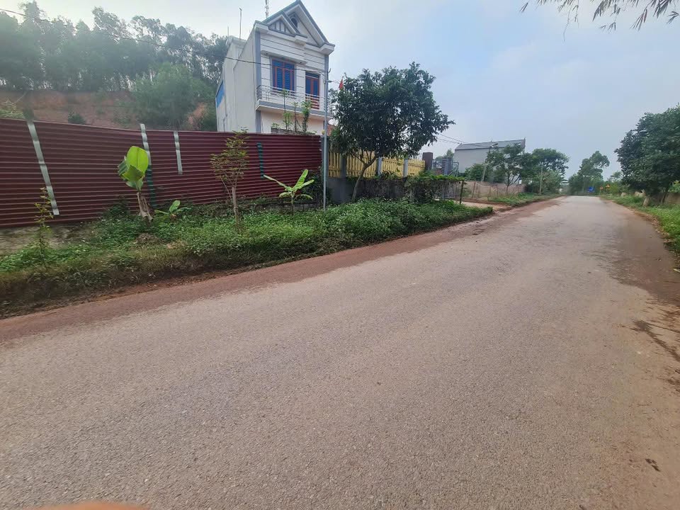 Đất nền Tân Yên 103m² - Sẵn sổ, kinh doanh tốt, giá dưới 1 tỷ!