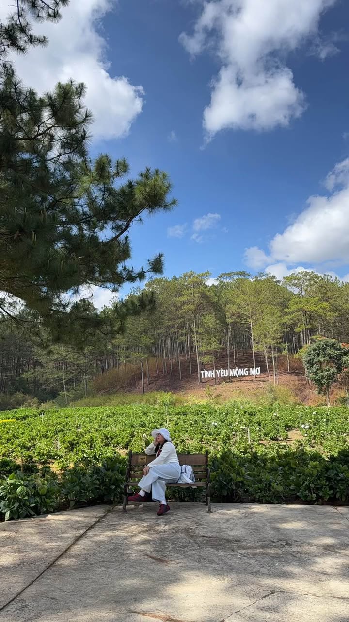 Biệt thự Flamingo Đại Lải 300m² - Nghỉ dưỡng lý tưởng!