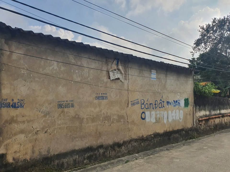 Đất nền Bạch Đằng 660m² - Sổ đỏ chính chủ, tiềm năng tăng giá!