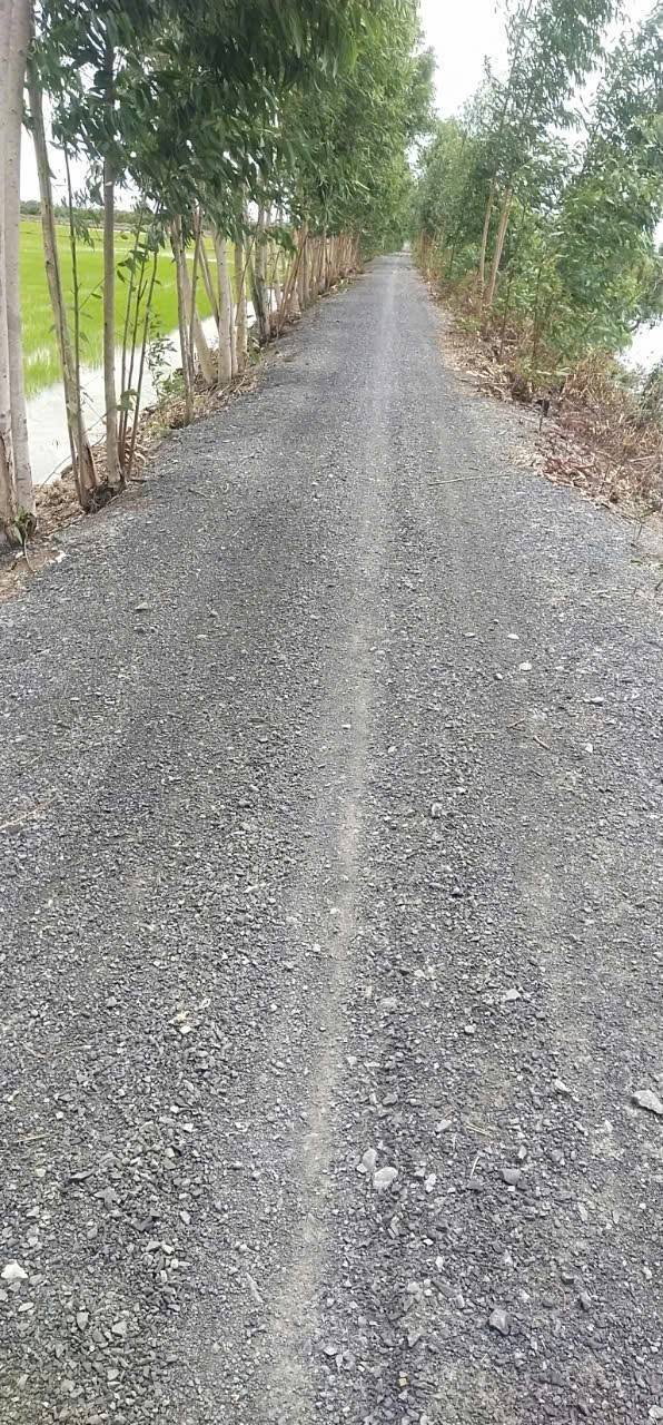 Đất Tân Long Thủ Thừa 24.151m² - Đường to ô tô, giá tốt đầu tư!