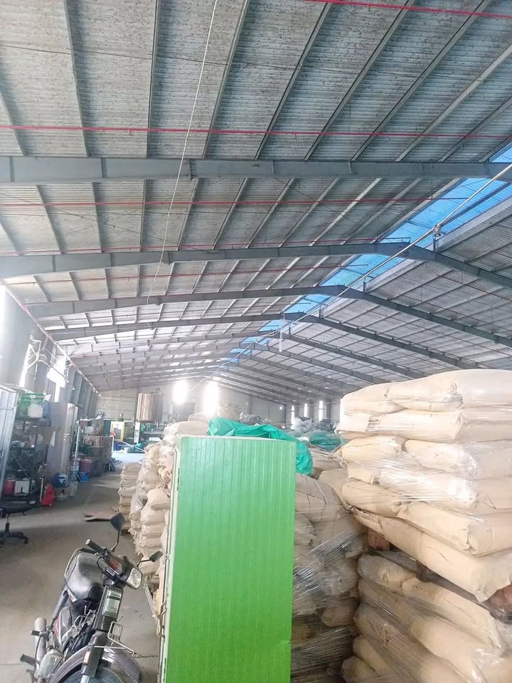 Nhà xưởng Đức Hòa, Long An 2700m² - Container thoải, hoạt động ngay!