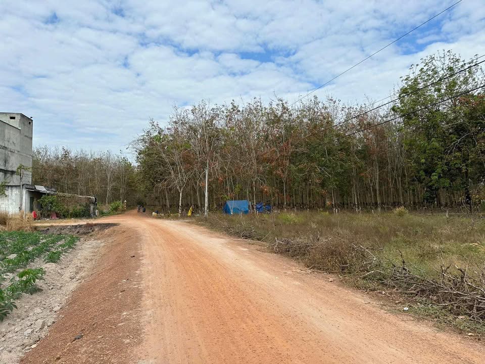 Đất nền Tân Hội, Tây Ninh - 150m², Giá chỉ từ 200 triệu/lô