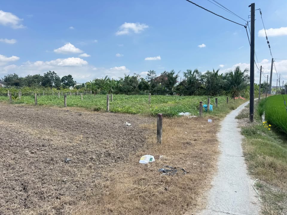 Bán Đất Thổ Cư Sổ Hồng Riêng 115m² Mỹ Thạnh, Long An - Giá 360 Triệu