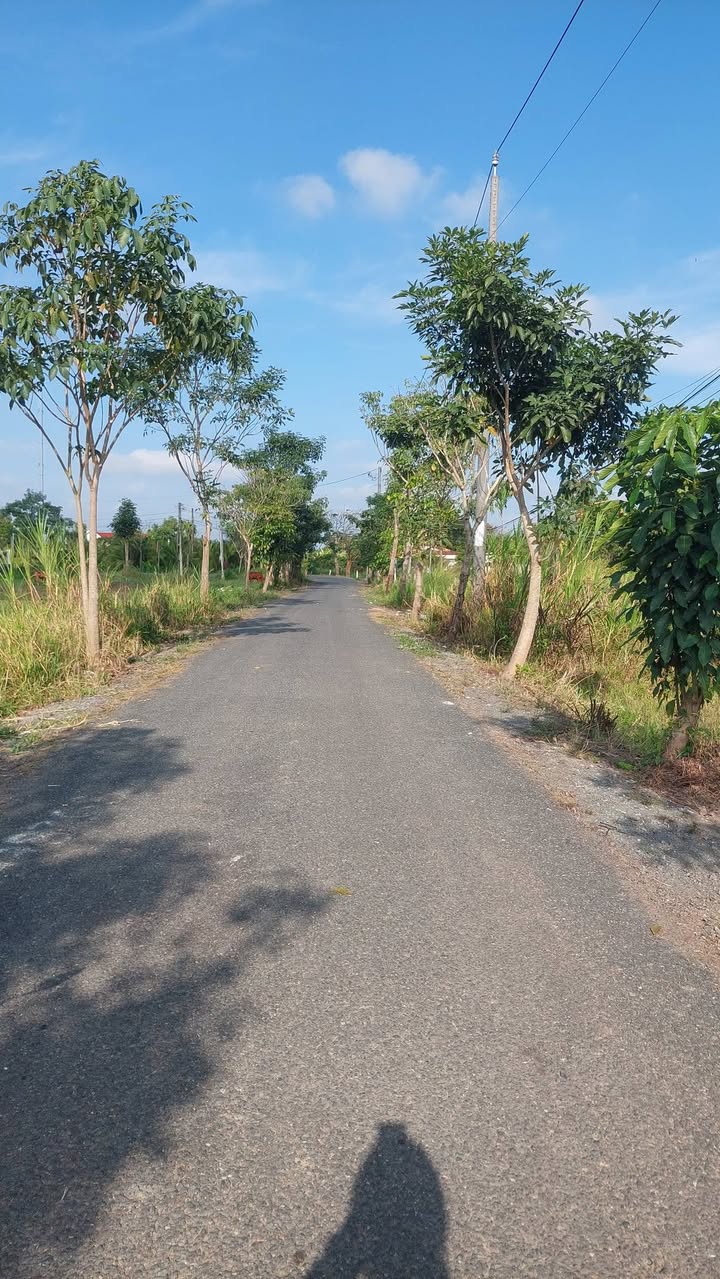 Đất nền Tân An 1000m² 2.1 tỷ - Tiềm năng tăng giá vượt trội!