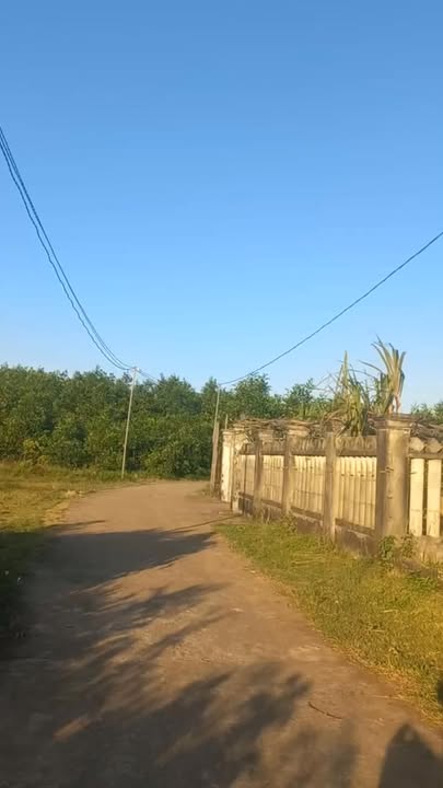 Đất nền Bình Thuận, Bình Sơn 195m² - Sổ đỏ sẵn sàng!