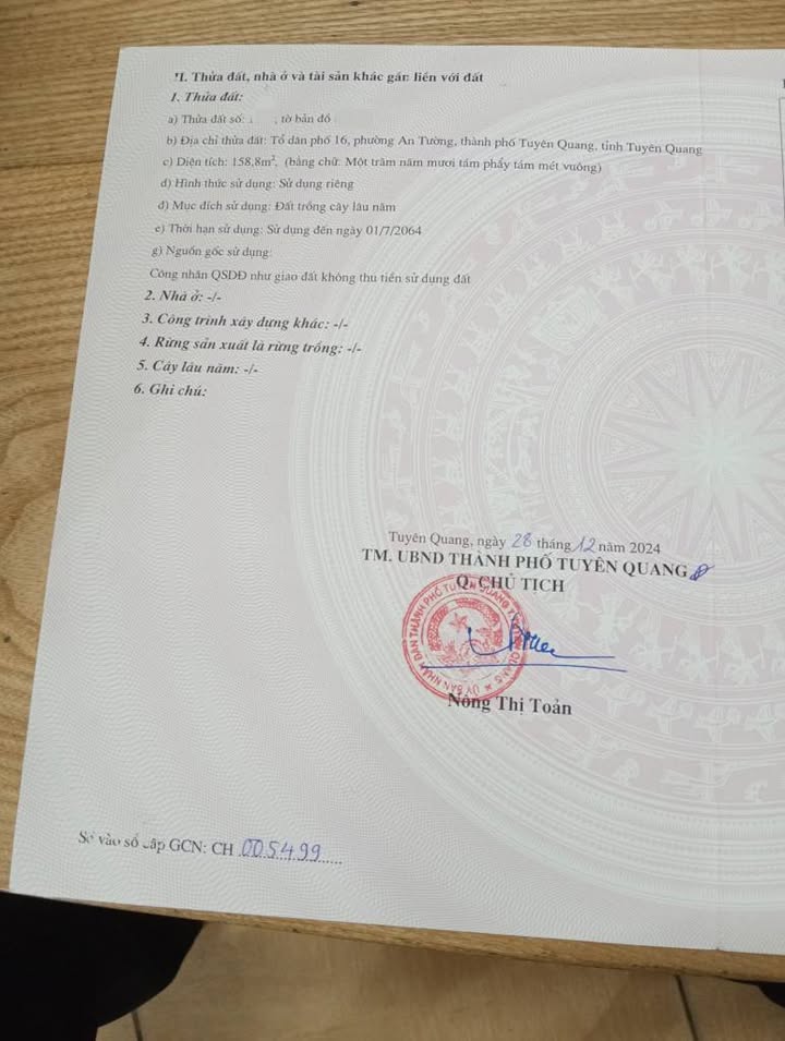 Bán Đất Tổ 16 An Tường, Tuyên Quang - Sổ Đỏ 166m²