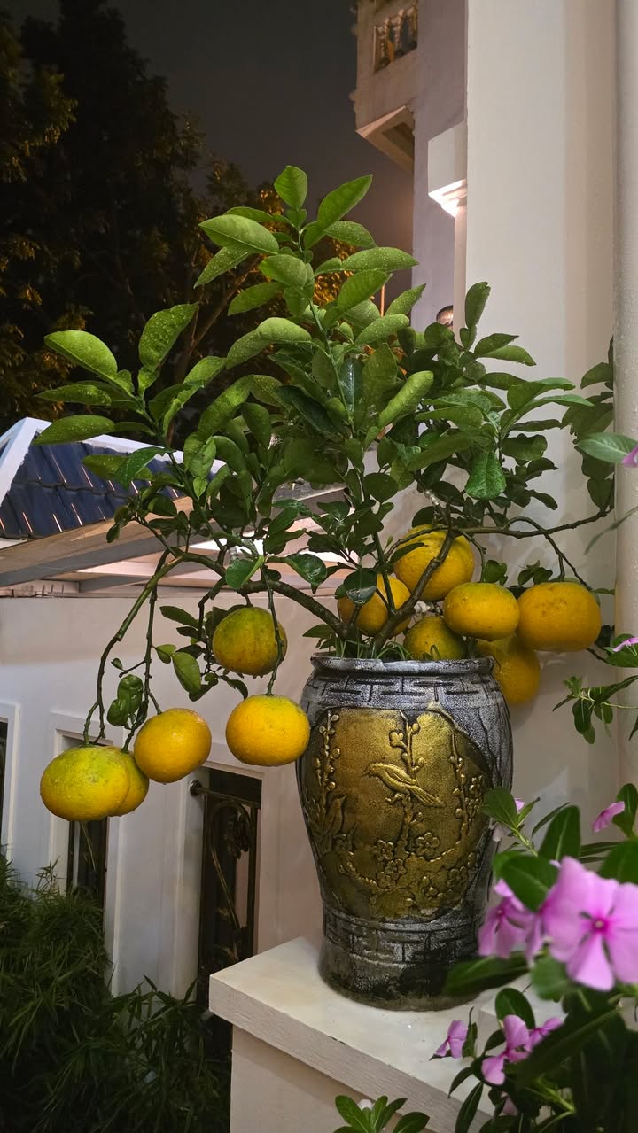 Nhà Phố Nam Định 64m² giá 4 tỷ - Mặt tiền kinh doanh, đường ô tô tránh