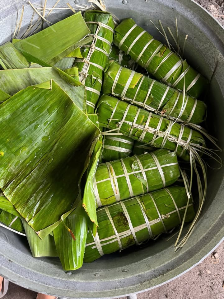 Đất nền Cam Bình, La Gi 320m² - Đường to ô tô, tiềm năng Homestay!