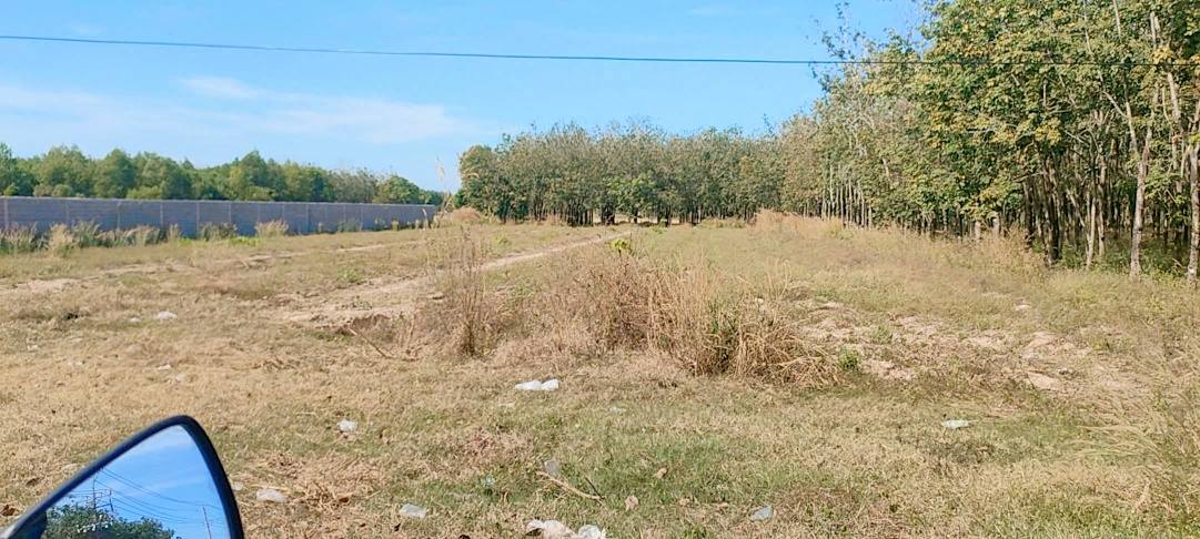 Đất Vàng Tân Biên, Tây Ninh: 4.5 Công Vuông Vắn, Sẵn Sàng Xây Dựng, Giá 18.2 Tỷ