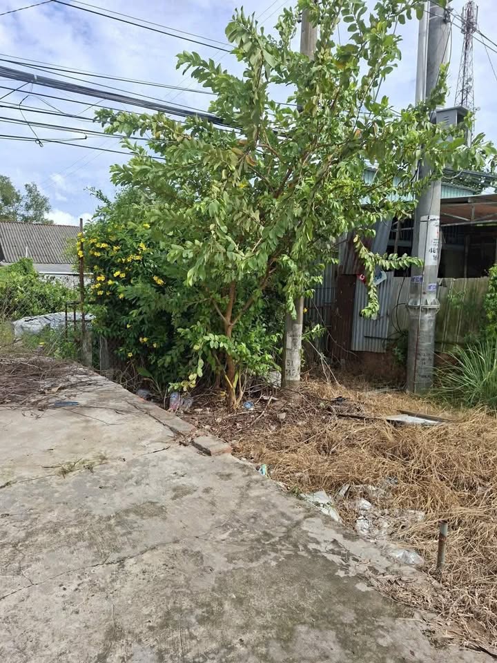 Đất nền An Thạnh Trung 197m² 1.8 tỷ - Sổ đỏ chính chủ!