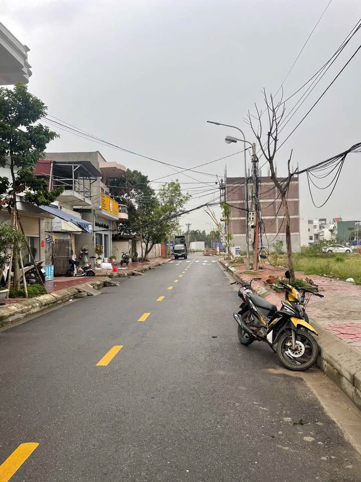 Đất nền TĐC Cây Đa Hải An 67.5m² - Hạ tầng hoàn thiện cực đẹp