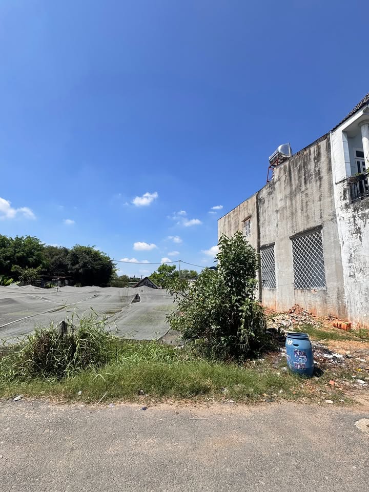 Đất Sổ Hồng Riêng Hóc Môn 100m² - Giá 3.65 Tỷ, Sẵn Sàng Xây Dựng