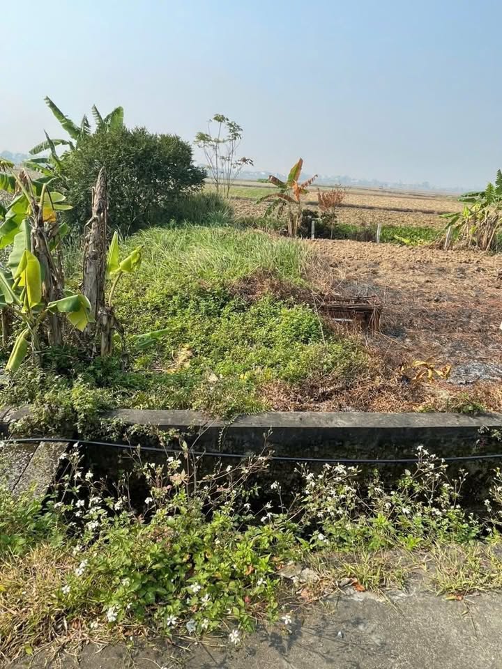 Đất nền 150m² Thành Xá, Ý Yên - Sổ đỏ chính chủ, tiềm năng tăng giá!