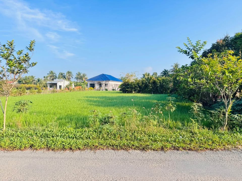 Đất Nền F0 Lạc Tấn 164m² - Sổ Hồng Sẵn Sàng - Giá Đầu Tư 820 Triệu