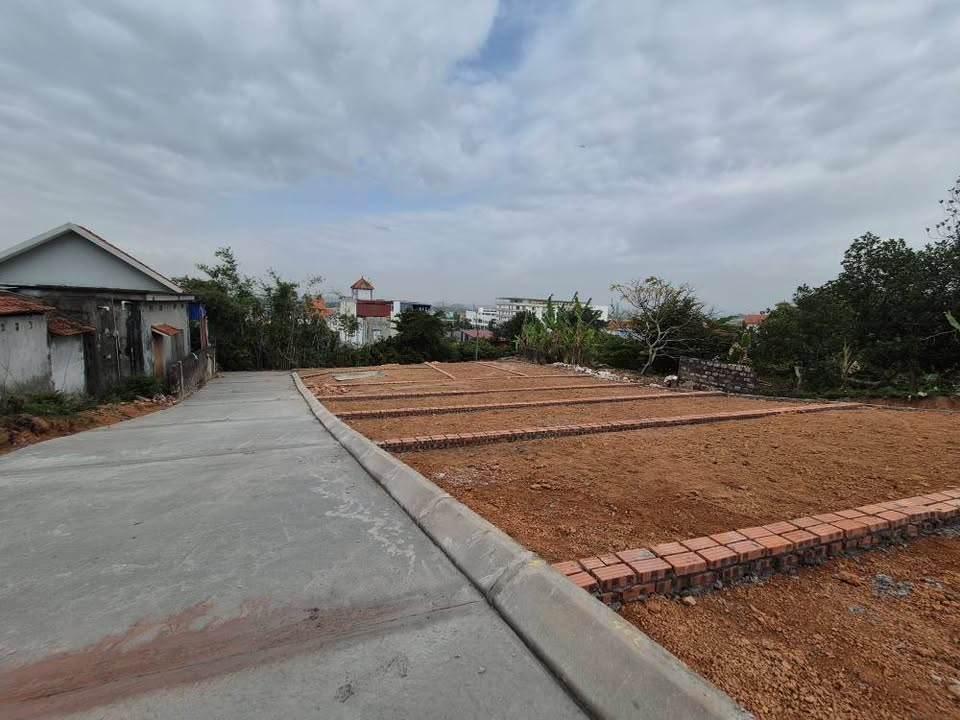 Đất nền Thủy Nguyên 60m² giá F0 CĐT - Sổ đỏ sẵn sàng!