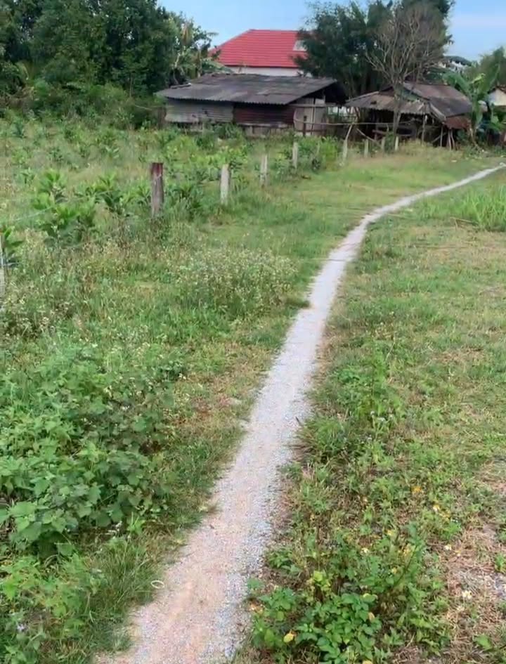 Đất vườn Tịnh Hiệp 2100m² - Sổ đỏ chính chủ, sinh thái xanh!