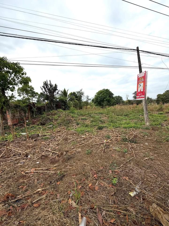 Đất nền Xã Nam Dong, Cư Jút 650m² - Sổ đỏ sẵn sàng, giá tốt!