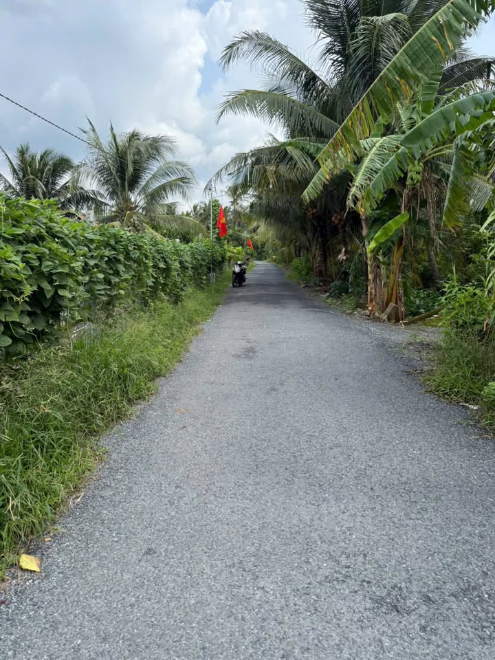 Bán Đất Lúa 3490m² Mặt Tiền Nhựa 23m - Tân Hồng, Đồng Tháp