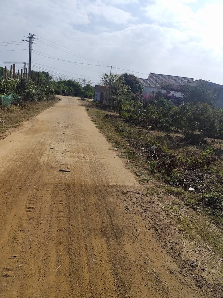 Đất nền Thôn 10 Cư Ni Ea Kar 1250m² - Tiềm năng tăng giá vượt trội!