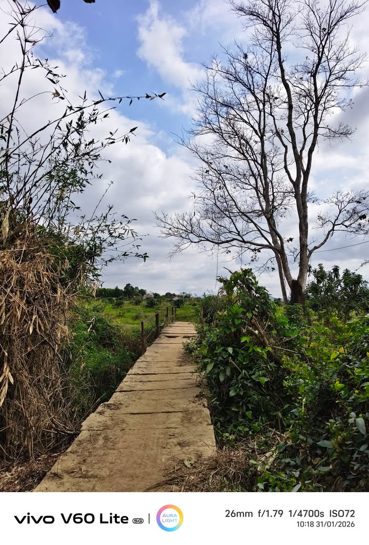 Bán Đất Xã Ea Ô, Đắk Lắk - 3600m² Sổ Đỏ Sẵn Sàng