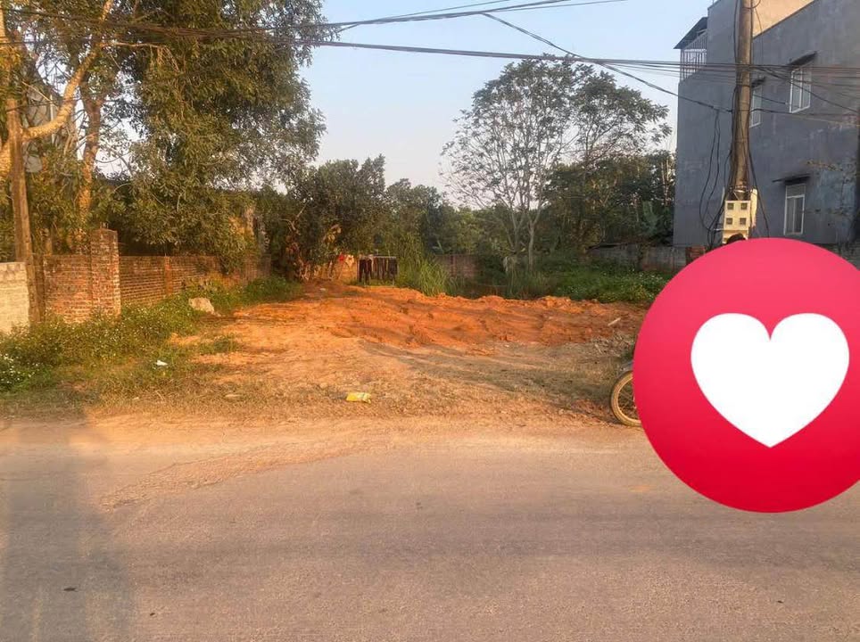 Đất nền Tỉnh lộ Thuận Minh 200m² - Sổ đỏ chính chủ, tiềm năng tăng giá!