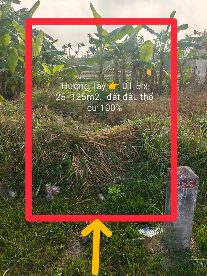 Đất nền Quốc Lộ 21, Hải Hậu 125m² – Đất thổ cư 100%, xây dựng tự do!