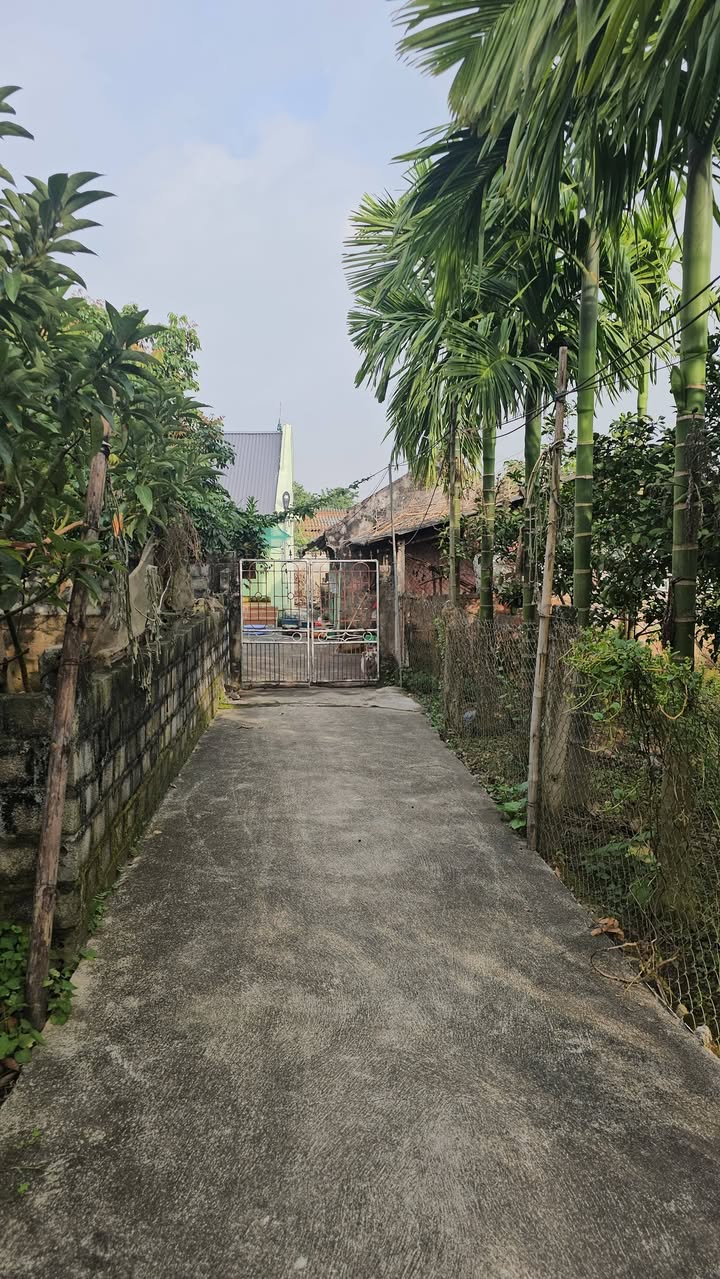 Đất nền Ngọc Lũ, Bình Lục, Hà Nam - 176m² chỉ 500 triệu - Sổ đỏ sẵn sàng