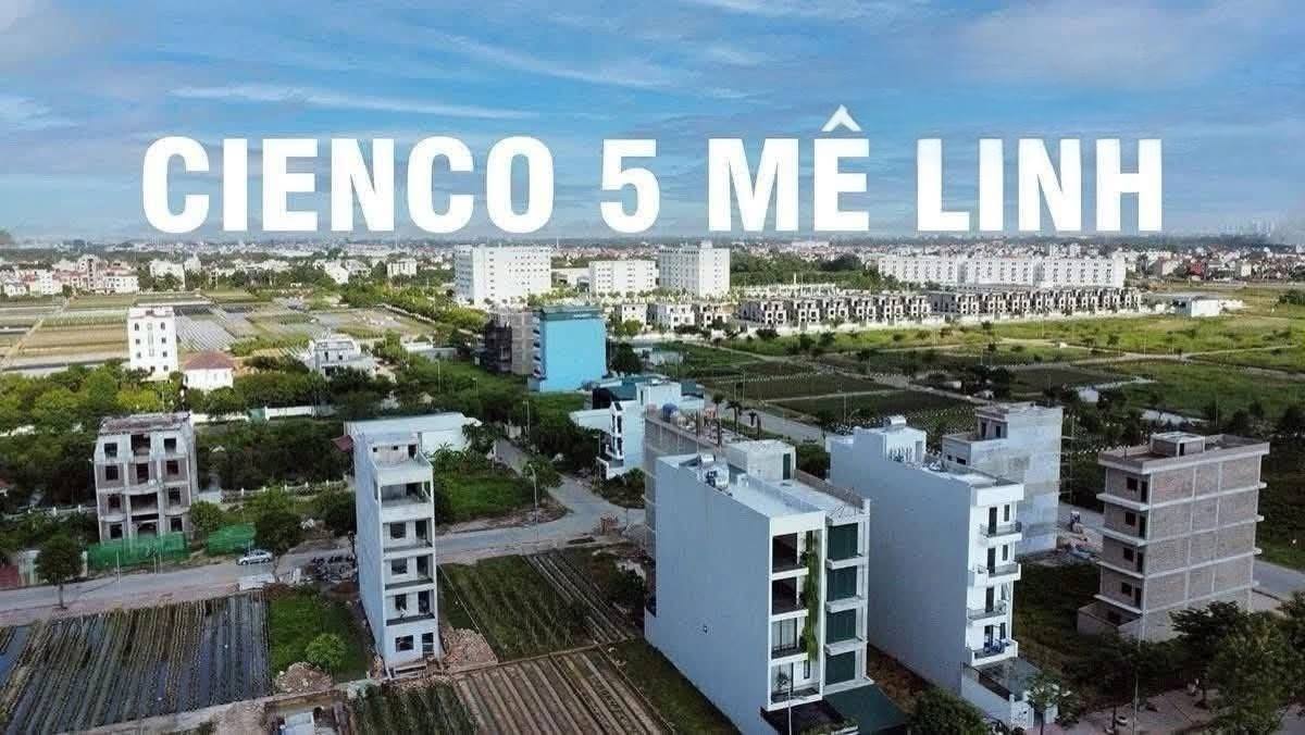 Đất nền Cienco 5 Mê Linh 95m² 4,75 tỷ - Đường to ô tô