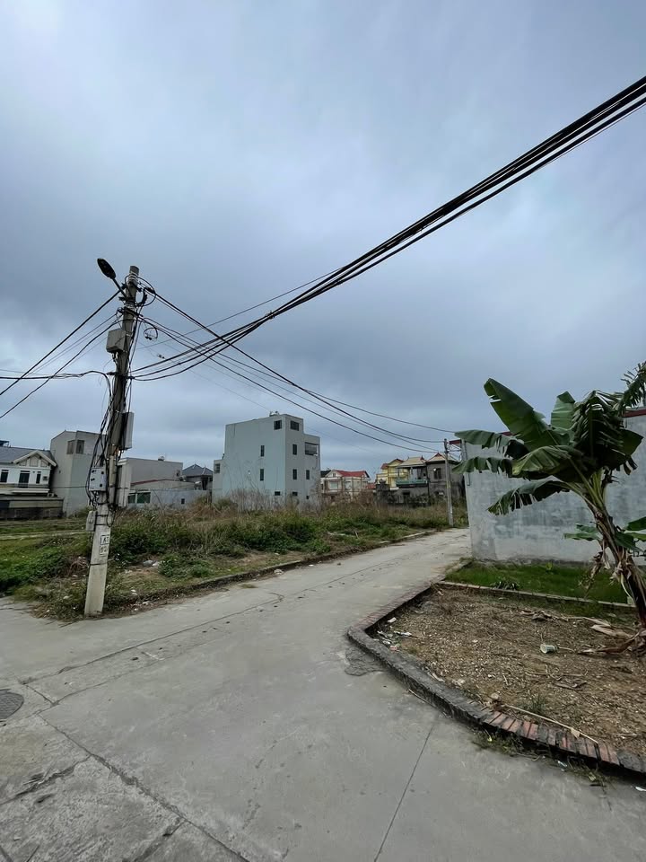 Đất nền Quang Hà, Phú Xuyên 82m² - Giá tốt hiếm có!