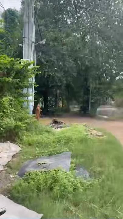 Đất Nền Mặt Tiền Trảng Bàng 664m² - Giá 2.2 Tỷ, Sổ Hồng Sẵn Sàng