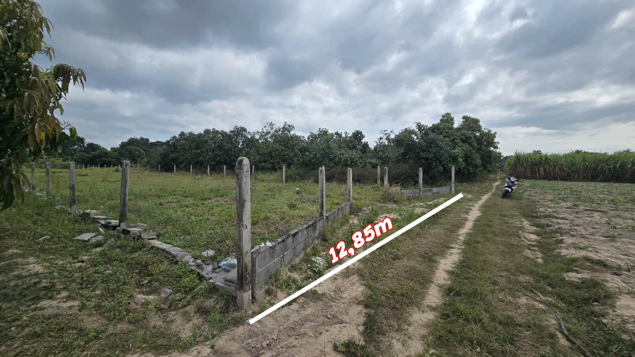 Đất Nền Cam Lâm 598.5m² - Sổ Hồng Sẵn Sàng, Tiềm Năng Tăng Giá