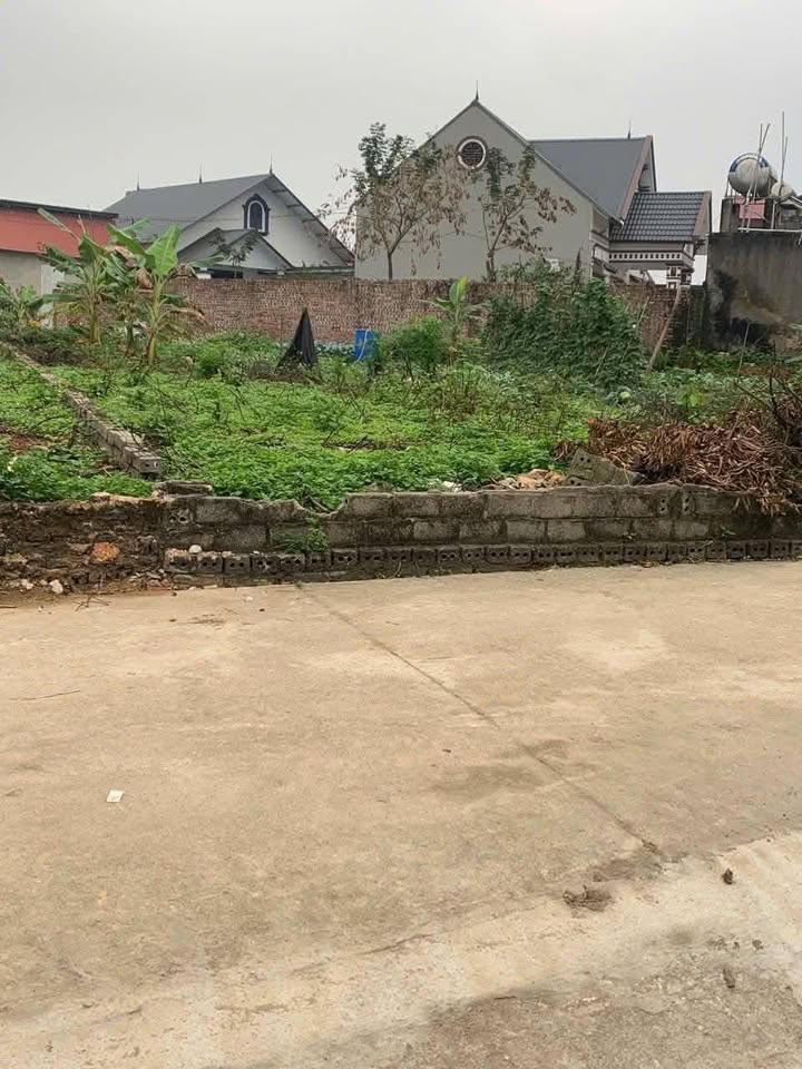 Đất nền Thôn Rèn, Việt Yên 119.5m² chỉ 7xx triệu - Đất thổ cư 100%