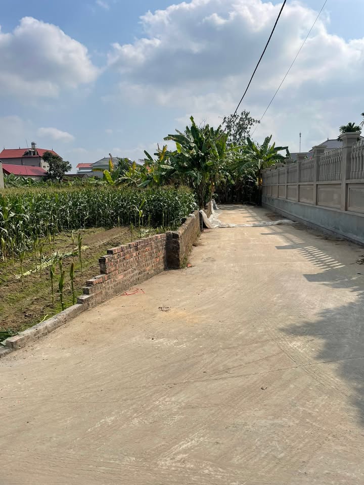 Đất nền Việt Yên 100m² giá 1.2 tỷ - Lô góc 2 mặt tiền, tiềm năng tăng giá!