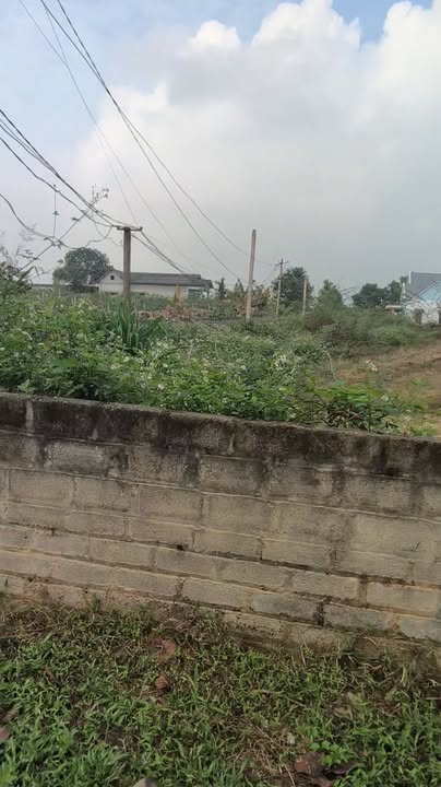 Đất nền Yên Phong, Bắc Ninh 652m² - Đường to ô tô, xây dựng tự do!